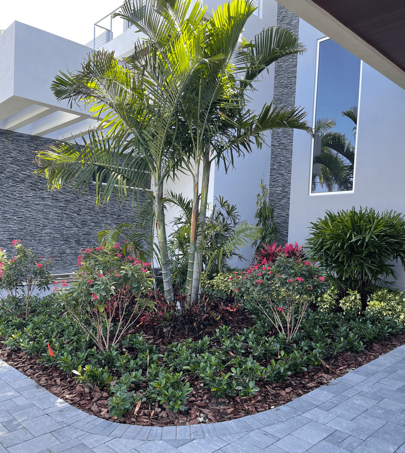 Professional landscape design with tropical palms