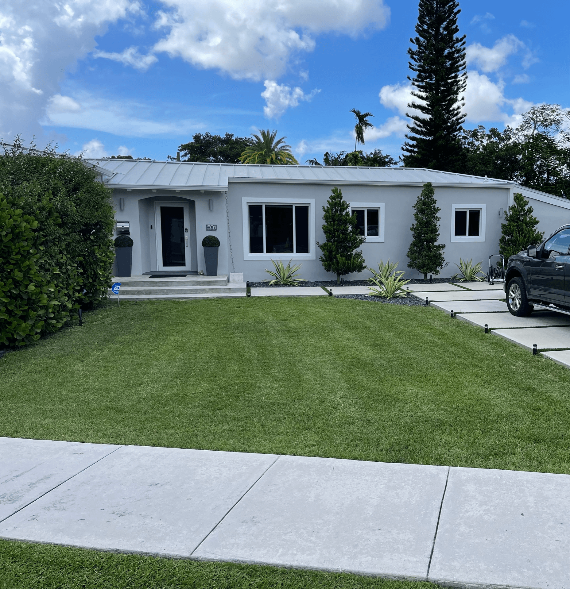 Professional lawn care services